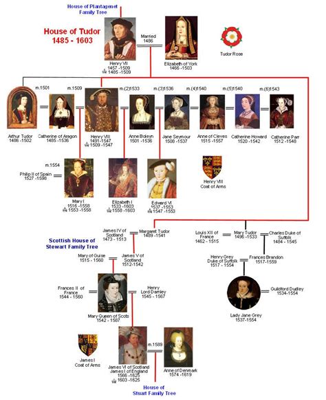 albero genealogicodei tudor|house of tudor family tree.